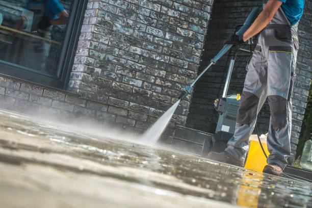 Animal Enclosure Cleaning in Roseland, FL